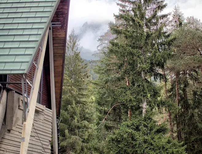 Hotel Boite Borca di Cadore